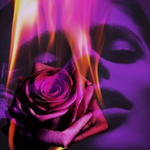 Meet your Posher, Maddieâs